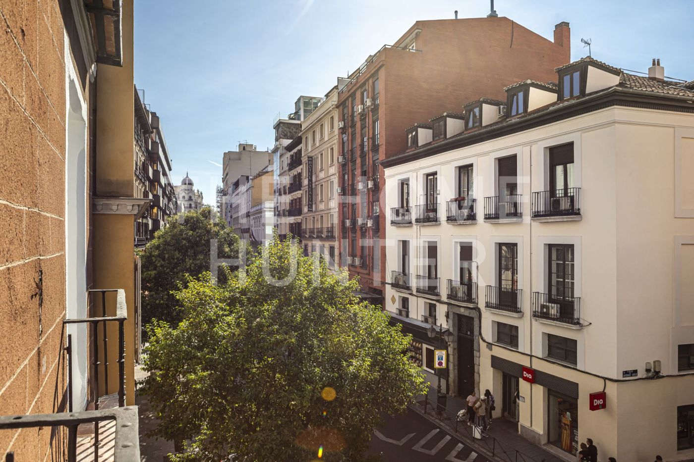 SAN BERNARDO / MALASAÑA