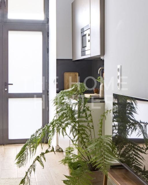 TORRECILLA DEL LEAL / EMBAJADORES 