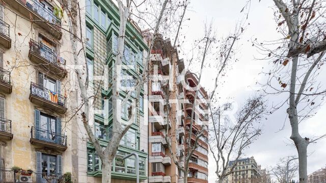 514 sqm commercial for rent in Barcelona